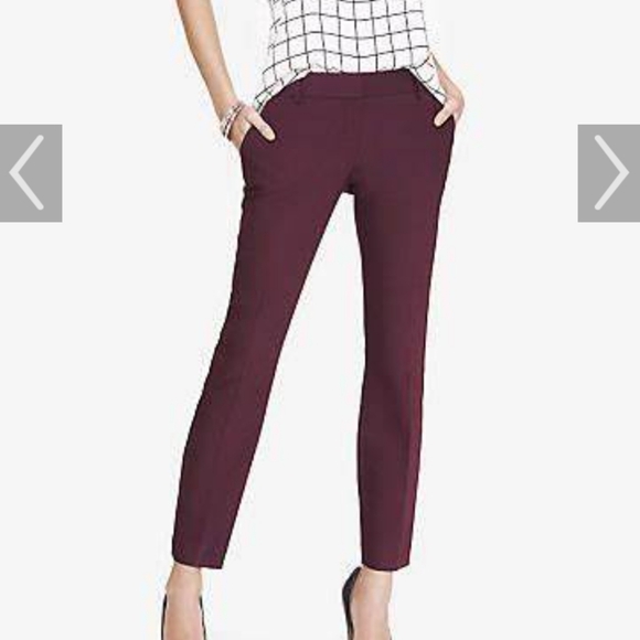 Express Pants - Express: 10 Long Columinist Pants